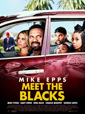 Meet The Blacks (2016)